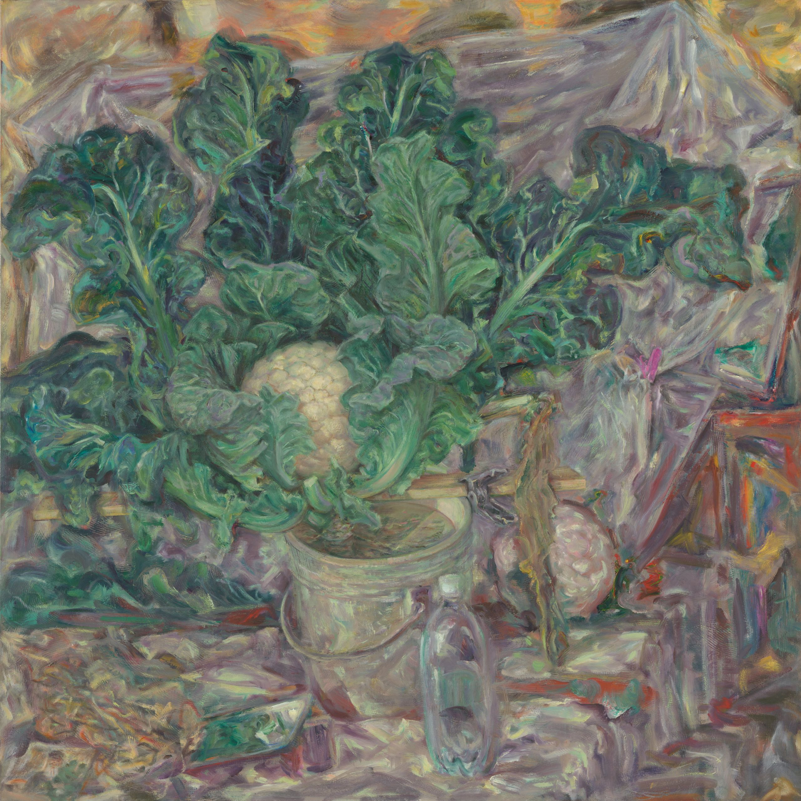 Janet Dawson 'Scribble Rock cauliflower' 199397, oil on canvas, 122 x 122 cm, National Gallery of Australia, Canberra, gift of Peta Phillips in memory of Jennifer Lorraine See Bowan 2012 © Janet Dawson

***These images may only be used in conjunction with editorial coverage of the 'Janet Dawson: Faraway, So Close' exhibition at the Art Gallery of New South Wales, 19 July 2025  18 January 2026, and strictly in accordance with the Terms of access to these images  see www.artgallery.nsw.gov.au/info/access-to-agnsw-media-room-tcs. Without limiting those Terms, images must not be cropped or overwritten; prior written approval in writing is required for use as a cover; caption details must accompany reproductions of the images; and archiving is not permitted. *** 

Media contact: media@ag.nsw.gov.au